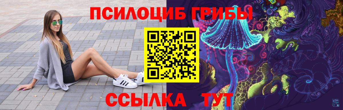 Псилоцибиновые грибы Cubensis Кызыл
